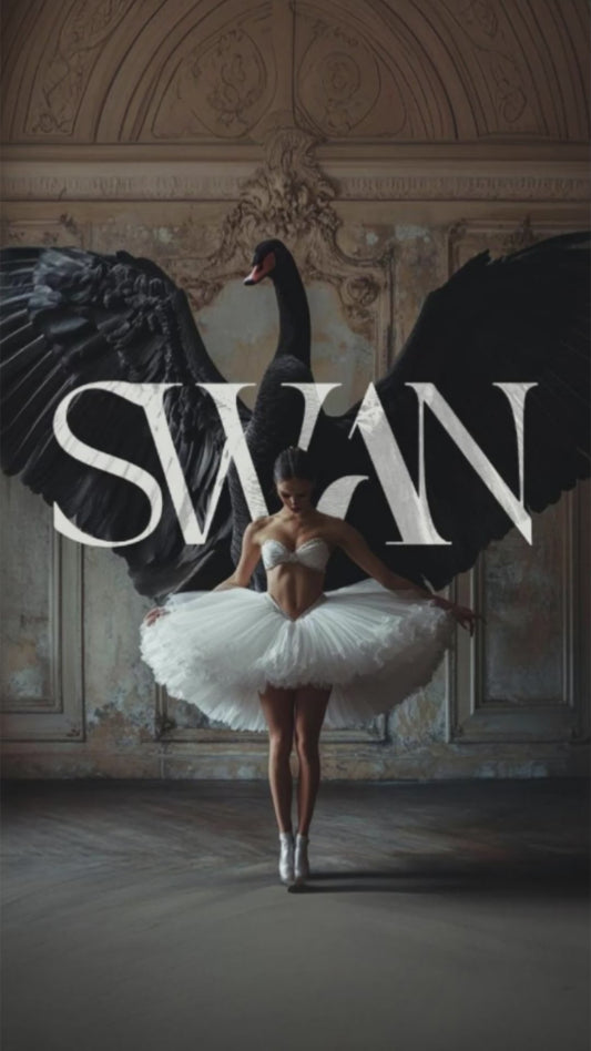 Swan Lake Soirée Black & White Affair 🦢